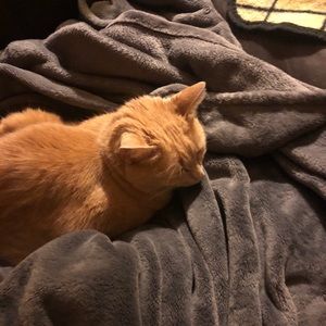 Meet your Posher, Blanca e.